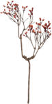 Clayre & Eef Crenguta artficiala portocalie maro 30x4x85 cm (5PL0204)