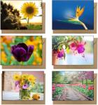  48 db virágos üdvözlőlap, összehajtható képeslapok 48 db boríték