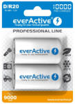 everActive R20/D Ni-MH 10000 mAh (EVHRL20-10000)