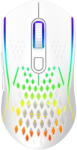 Proove Buzz WMBU00022402