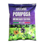 EVERDE Lucerna pomposa, 1 kg, 250-400 mp suprafata acoperire