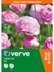 VERVE Bulbi Ranunculus roz VERVE, 15 bulbi