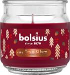 Bolsius Ароматна свещ Bolsius True Glow - Winter Spices, 57 h (8717847190505)