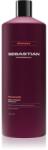 Sebastian Professional Penetraitt sampon sérült, vegyileg kezelt hajra 1000 ml