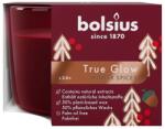 Bolsius Ароматна свещ Bolsius True Glow - Winter Spices, 100 h (8717847193551)