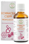 Bálintcseppek Bálint Cseppek Echinacea Csepp Propolisszal 50ml