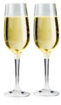 GSI Outdoors Nesting Champagne Flute Set pohár
