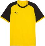 PUMA Teamliga 26 Matchday Jersey (70654407)
