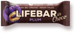 Lifefood Prune RAW BIO 40 g