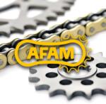 AFAM láncszett 520MX6 13/48 megerősített - standard hátsó lánckerék AFAM Erőátviteli alkatrészek Láncok, lánckerekek, láncszettek Láncszettek - motomotors - 60 871 Ft