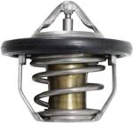 QJ-MOTOR Termosztát SVT650 SVT650X QJ-MOTOR Motor alkatrészek Olajfilterek, olajpumpák