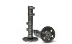 Malossi Double Power Cam vezérműtengely Malossi Motor alkatrészek Vezérműtengelyek