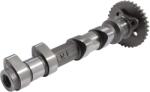 QJ-MOTOR SRK700 szívóvezérműtengely alkatrészek QJ-MOTOR Motor alkatrészek Vezérműtengelyek