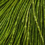 MIXFORM Hímzővászon Truncal réz 1mm 4.9m/10g (13WB18426)