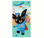 Carbotex Bing strandtörölköző 70x140 Pamut (BING231012-R)