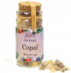 Flora Perpetua Kopal gyanta tömjén (Afrika) (404)