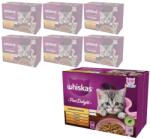 Whiskas Junior Baromfi Delicacies Gyümölcskocsonya Nedves eledel kiscicáknak 84x85g