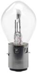 BOSMA Bec far BOSMA 6V 25 25W BA20D (ZAR06V25/25WK2WBA20DXBOS000)