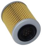 Roy Filtru ulei ATV Cf moto 400 500 550 600 800 1000 CFMOTO CFORCE ZFORCE UFORCE X8 0800-011300-0004 MODEL A (ROY32728) - simoto