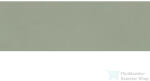 Cifre Cerámica GRAVITY Sage 40x120 cm fali csempe (CIF0405)