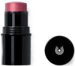 Dr. Hauschka Червило и руж 2 в 1, 03 Rosewood, 6.1 g - ozone