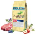 DOG VITAL Hipoallergén Adult Mini Pork, apple&blueberry 12+2kg grátisz - grandopet