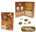 Keycraft Kit paleontologie - Descopera fosile (SC250) - roua