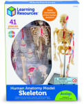 Learning Resources Macheta corpul uman - Schelet (LER3337)