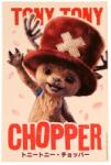 Moriarty Art Project Poster din aluminiu Moriarty Art Project Animation: One Piece - Tony Tony Chopper (MAP6117)
