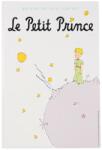 Moriarty Art Project Poster din aluminiu Moriarty Art Project Books: The Little Prince - The Little Prince (MAP6111)