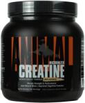 Universal Nutrition Creatine Micronized, 500 g, Universal