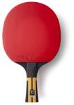 Butterfly Timo Boll Force (1020250401)