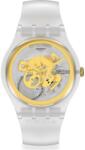 Swatch Ceas Swatch, Skin SVIZ102-5300 (SVIZ1025300) Ceas