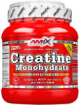 Amix Nutrition Creatine Monohydrate 500 g - bodyworld
