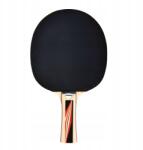 Master Asztalitenisz Ütő Ping-pong Edzés Haladó Virágtartók Számára (4900975081881)