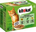 Kitekat Tasakos macskatáp, 12 x 85 g - Vidéki piknik szószban - 1.020 g