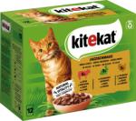 Kitekat Tasakos macskatáp, 12 x 85 g - Vadászlakoma szószban - 1.020 g