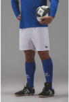 Erima férfi rövidnadrág (Calcutta) 3152616