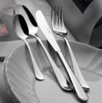 Salvinelli Canada: Lingurita ceai/cafea din inox, 12.6 cm (CACA) Tacam