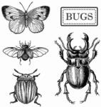  HD gumi pecsételő 10 x 10 cm - Bogarak