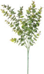 Valex Decor Eukaliptusz csokor, 3 ágú, 70cm magas - Zöld / Barna (LD027-02)