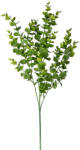 Valex Decor Eukaliptusz csokor, 3 ágú, 70cm magas - Világoszöld (LD027-01)
