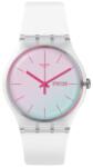 Swatch Ceas Swatch, Originals SO29K704-S14 Ceas