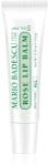 Mario Badescu Rose Lip Balm ултра подхранващ балсам за устни с аромат на рози 10 гр
