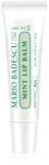 Mario Badescu Mint Lip Balm ултра подхранващ балсам за устни 10 гр