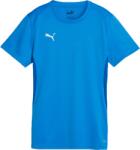 PUMA Teamgoal Jersey W (65863802)