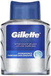 Gillette After shave GILLETTE Arctic Ice 100 ml (C56465) - robbitairodaszer