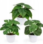  Yaoyin 3 db-os Műnövény Szett 19 cm Dekoráció (B0D1CFBBN7)