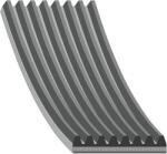 Febi Bilstein 29053 Többhornyos ékszíj