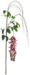 Bizzotto Set 4 flori artificiale rosii verzi Kaylin 210 h (0170711)